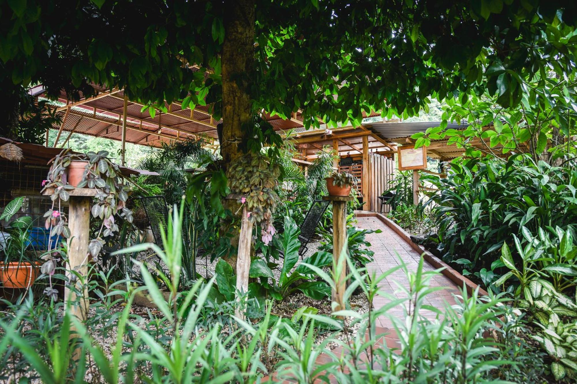 Casa Cora Bed And Breakfast Carmona Esterno foto